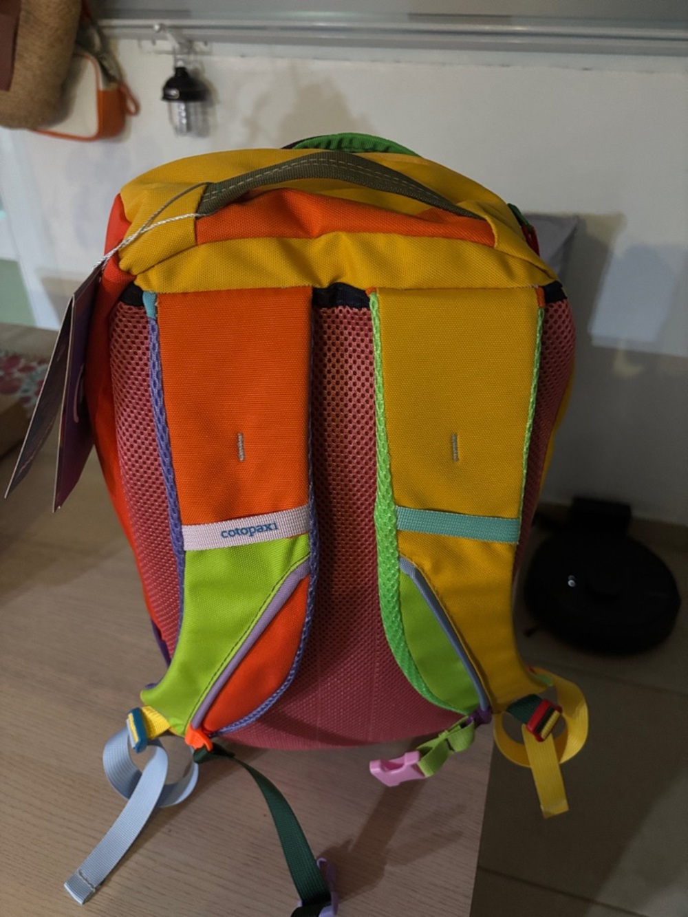 cotopaxi Allpa20 Backpack in Turquoise, Yellow, Red, Purple - Picture 5 of 5